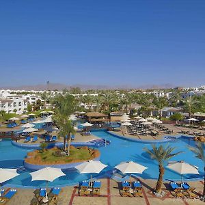 Jaz Sharm Dreams